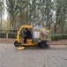 自走式吸葉機手推式公園街道落樹葉收集器大功率汽油落葉清理車