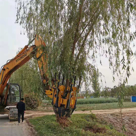 挖掘机带大型挖树机液压起苗带土球移树机园林苗圃全自动移栽机械