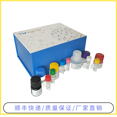 兔(CaN)ELISA試劑盒靈敏度高