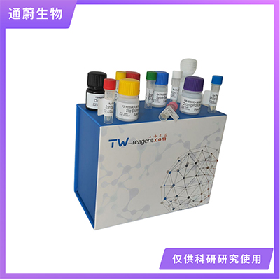 小鼠(L-LDH)ELISA試劑盒重復性好