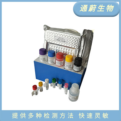 豬(LZM)ELISA試劑盒全國包郵