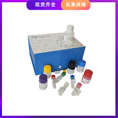 通蔚生物馬(TUBB)ELISA試劑盒