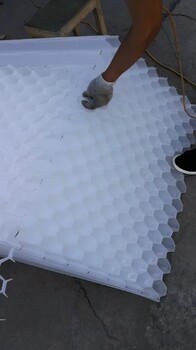 衡陽市蜂窩斜管材質PP聚丙烯80mm孔徑六角式蜂窩斜管填料