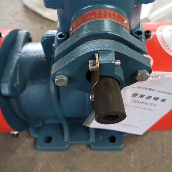 振動(dòng)平臺(tái)電機(jī)物料振幅2-4MM振動(dòng)電機(jī)XVM-30-2電動(dòng)機(jī)