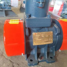 功率小節(jié)能省電振動電機XVM-8-22級0.75KW振動馬達廠家現(xiàn)貨圖片