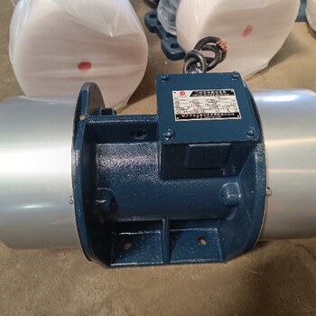XVM-16-2國標振動電機2級16KN轉速2960純銅芯振動器