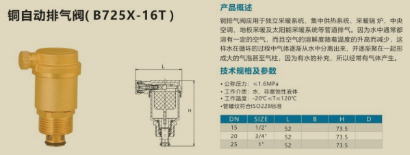 自动排气阀规格图片.png