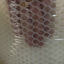 广西塑料养殖网厂家鸡鸭垫脚网育雏网塑料网生产批发
