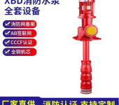 XBD立式长轴消防泵轴流深井泵干式腋下消防水泵喷淋泵消火栓泵3CF