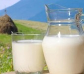 牦牛奶的神奇因子是什么呢？牦臻宝牦牛代理批发
