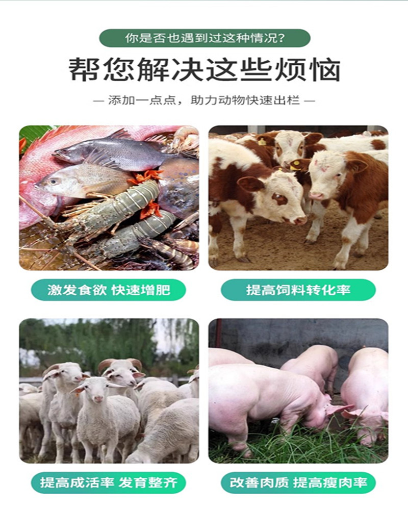 飼料通用._副本.jpg