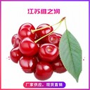 櫻桃紅色素廠家食品級著色劑