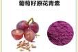 葡萄籽提取物厂家食品级营养强化剂