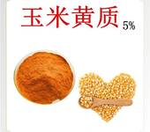 食品级玉米黄质厂家玉米黄质5%