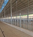 奶牛場牛頸枷牛棚定位欄牛頸枷配件牛頸夾抱卡牛脖夾抱箍廠家