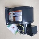 美國DAYTON離心風(fēng)機(jī)電機(jī)馬達(dá)1TDR3
