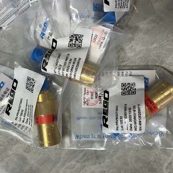 美國力高REGO調(diào)壓閥安全閥低溫閥PRV9432TP600C