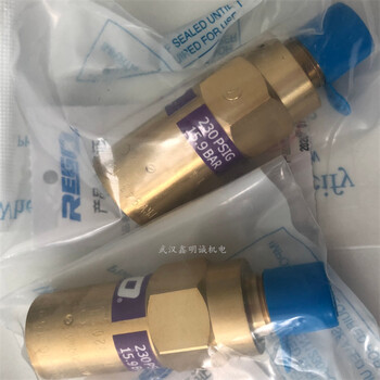 美國力高REGO調(diào)壓閥安全閥低溫閥PRV9432TP600C