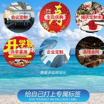 高濃度富氫水純凈水灌裝機生產(chǎn)廠家易拉罐飲料灌裝機