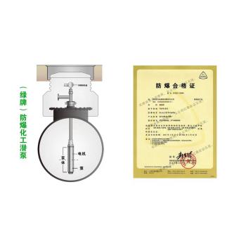 上海供绿牌防爆潜水泵0区用化工液下泵