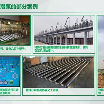 綠牌YQYBH電動鶴管潛油泵60立質(zhì)保5年