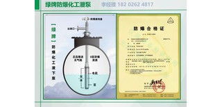 不锈钢潜泵Ga防爆化工液下泵图片2