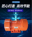 ZGY三相異步振動(dòng)電機(jī)ZGY-50-42.2KW電動(dòng)機(jī)