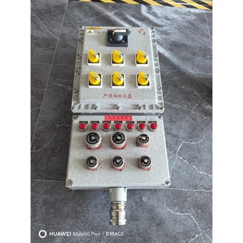消防電機(jī)防爆控制箱皮帶機(jī)啟停防爆按鈕箱