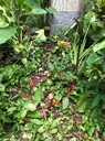 珠海市供水管網(wǎng)漏水探測香洲消防管道漏水檢測