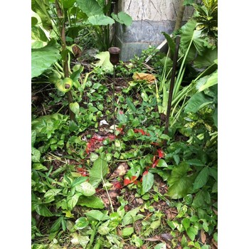 珠海市管道漏水檢測維修安裝香洲水管漏水探測