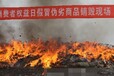 佛山高明区鞋子销毁公司/运动鞋销毁报废处理