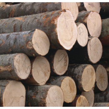 橡木木材检测机构，橡木检测