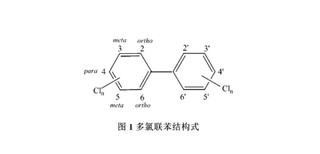 图片0