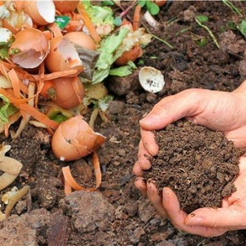 堆肥降解试验机构，塑料生物降解试验