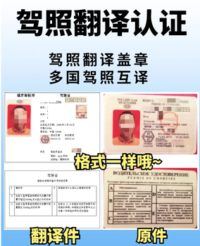 國(guó)外駕照翻譯模板及國(guó)內(nèi)換照流程