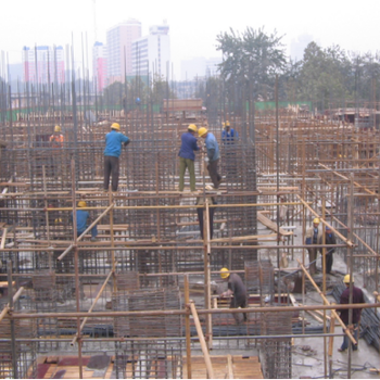 河南洛陽出國打工加拿大高薪包吃包住正規工簽正規出國勞務