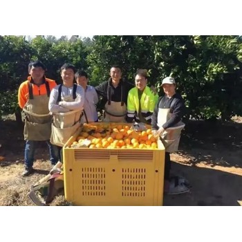 江蘇蘇州出國打工澳洲加拿大出國勞務年薪40-50萬高薪包吃住