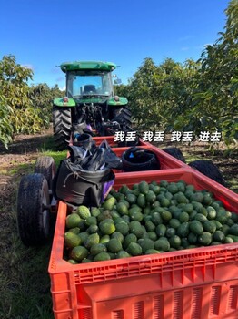 江蘇蘇州出國勞務打工掙錢包吃包住建筑工年薪35W起