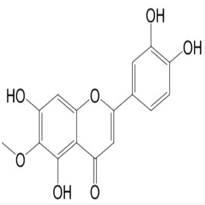 泽兰黄酮.png