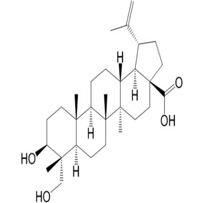 23-羟基白桦酸.png