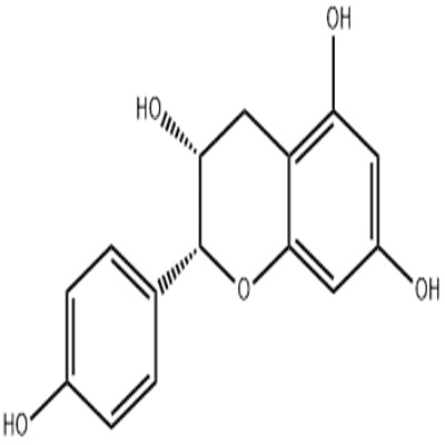 表阿夫儿茶精.jpg