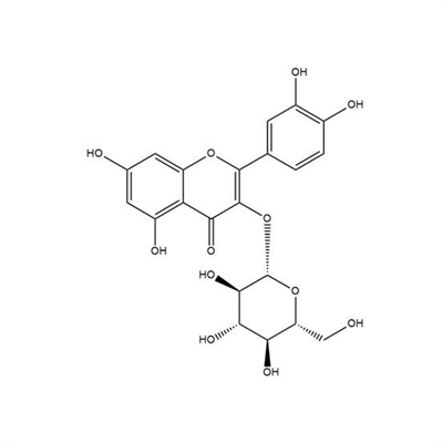 异槲皮苷；异槲皮素.jpg