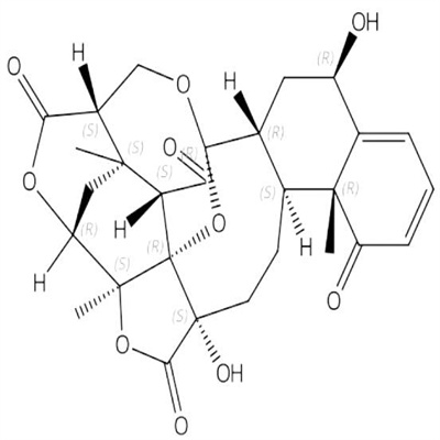 酸浆苦味素G.jpg