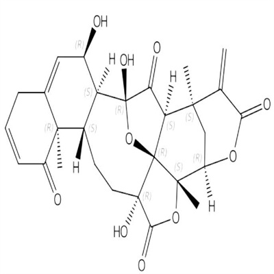 酸浆苦味A.jpg