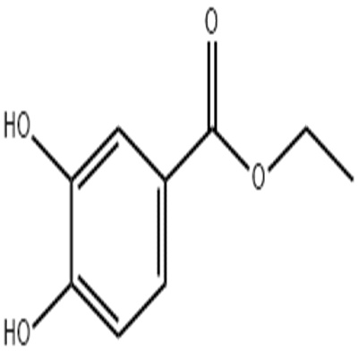 原儿茶酸乙酯.jpg