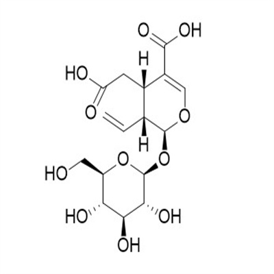 断氧化马钱苷酸.jpg