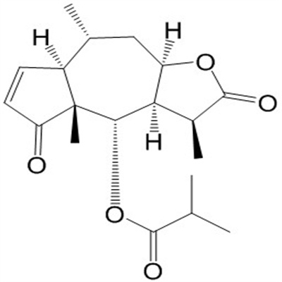 山金车内酯C.jpg