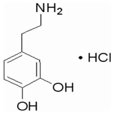 多巴胺盐酸盐.png