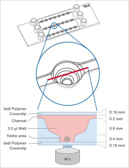 458b934515fea39d78a95e732269ee52_9daaa7682e2c1ef3f691c8e35371737d.jpg