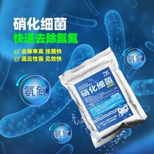 山東小海牛微生物菌劑去除降解氨氮好氧池污水處理菌劑圖片